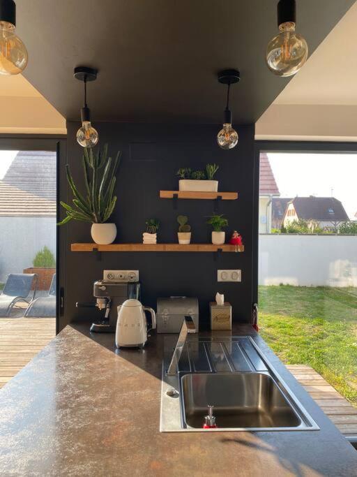 Maison D'Architecte Situee Sur La Route Des Vins Châtenois Exteriör bild