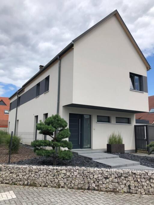 Maison D'Architecte Situee Sur La Route Des Vins Châtenois Exteriör bild